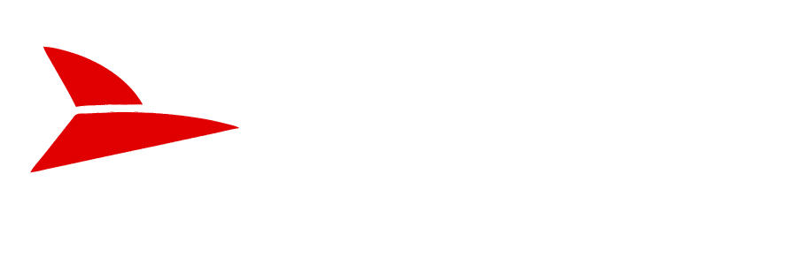legends-airways-logo-reverse